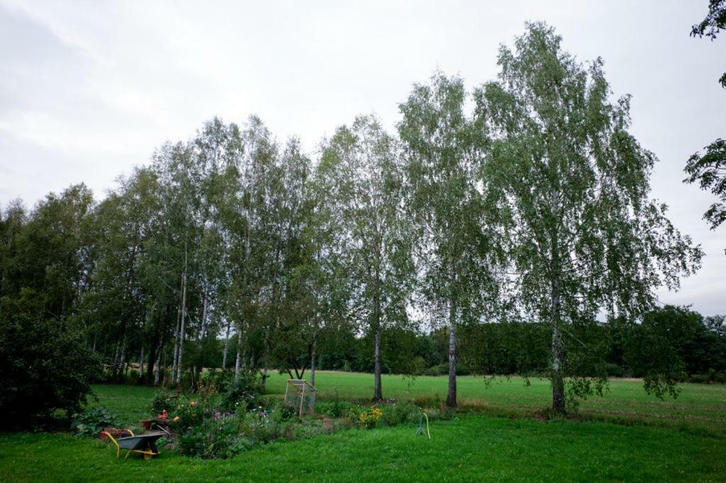 Appartamento Obere Muehle - Scheunenwohnung Mitten Im Gruenen